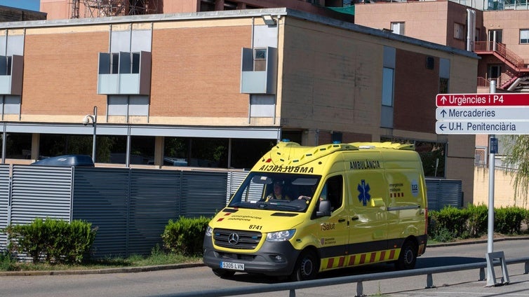 Muere un trabajador al caerle encima un árbol que estaba cortando Barcelona