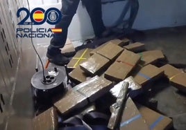 Interceptado un alijo de casi 300 kilos de hachís oculto en el remolque de un camión en el Puerto de Algeciras