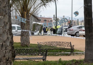 Así fueron los trágicos hechos en el apuñalamiento mortal de un menor de 16 años en El Arenal