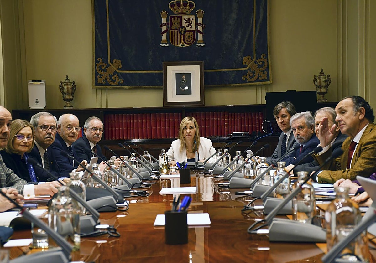 El Consejo General del Poder Judicial (CGPJ)