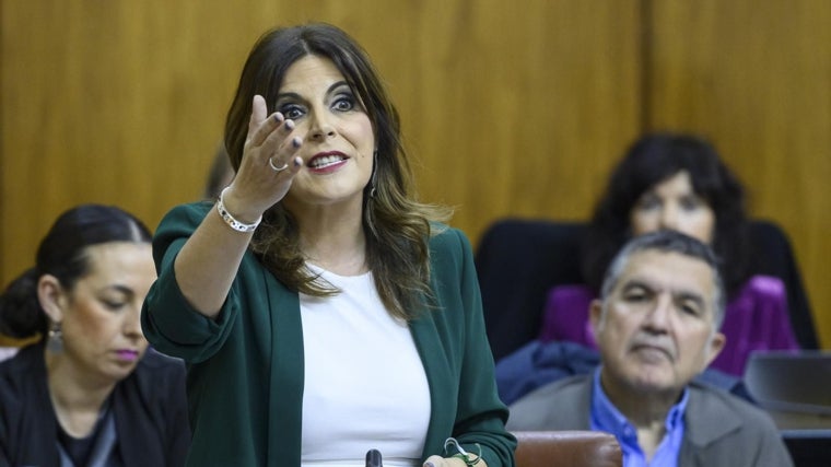 La portavoz del Grupo Parlamentario Socialista, Ángeles Férriz