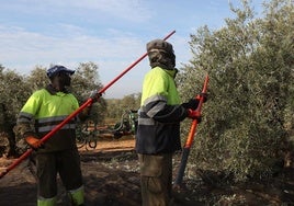 Asaja Córdoba muestra su «firme rechazo» a la reducción de la jornada laboral por su impacto en la agricultura