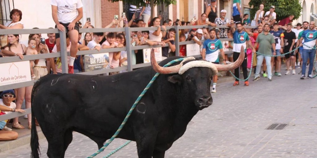 El Toro de Cuerda de Carcabuey cumple 400 años y así lo van a celebrar