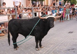 El Toro de Cuerda de Carcabuey cumple 400 años y así lo van a celebrar