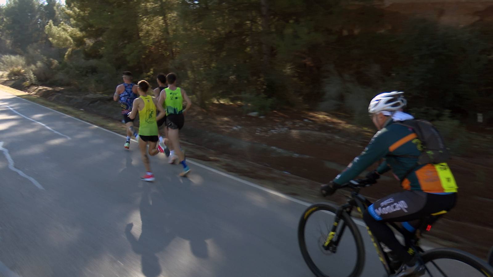 La emocionante jornada de la Media Maratón de Puente Genil: un repaso en fotos