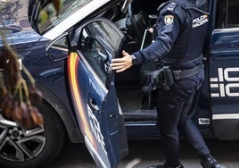 A prisión tras patear la cabeza a una mujer para robarle unas monedas en el parking de un hipermercado de Salamanca