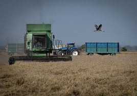 La compraventa de tractores en Córdoba se recupera al subir un 44% en 2024