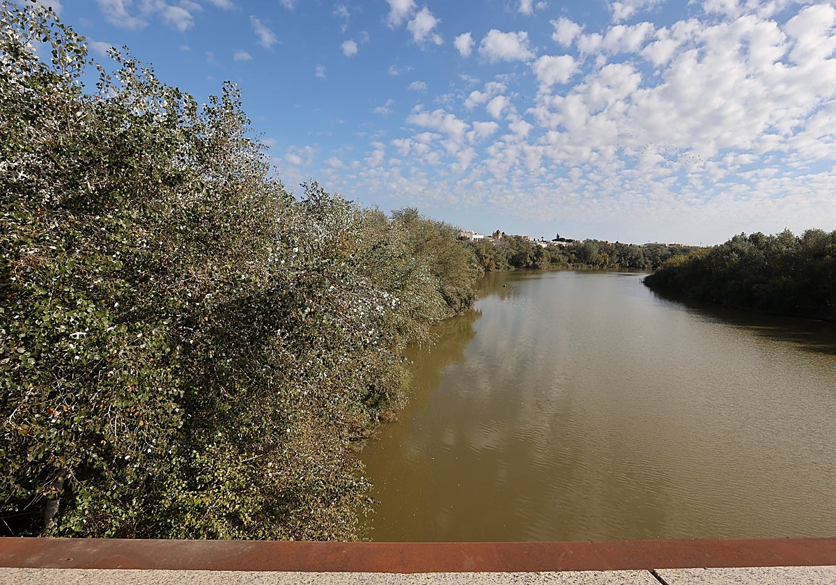 Río Guadalquivir a su paso por el casco urbano de Córdoba