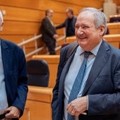 Industria evalúa «en estos momentos» el proyecto de Altri, candidato al Perte de descarbonización
