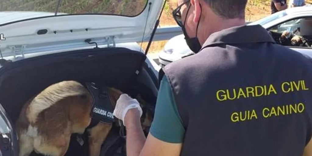 Rayo lo ha vuelto a hacer: el perro de la Guardia Civil de Albacete pilla a dos hombres con 200 gramos de hachís en un vehículo