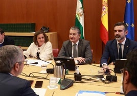 La Junta de Andalucía ha movilizado 102 millones más de los comprometidos inicialmente en el Acuerdo por Doñana