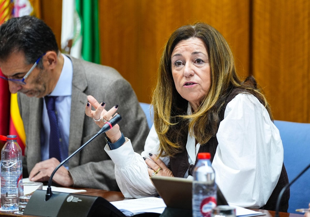 Carmen Castillo, consejera de Desarrollo Educativo, en el Parlamento