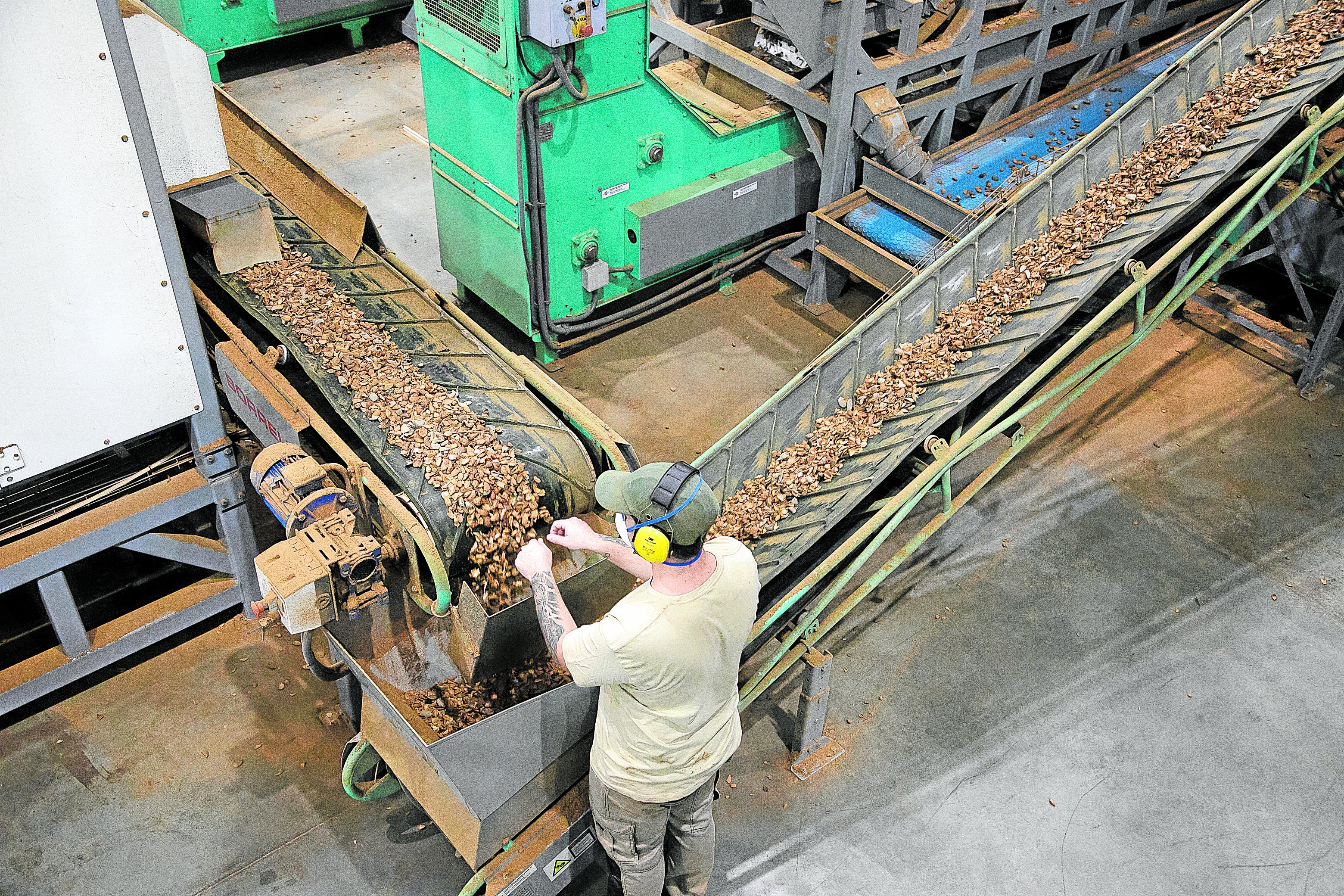 Planta de almendra de Dcoop en Villarrubia de Córdoba