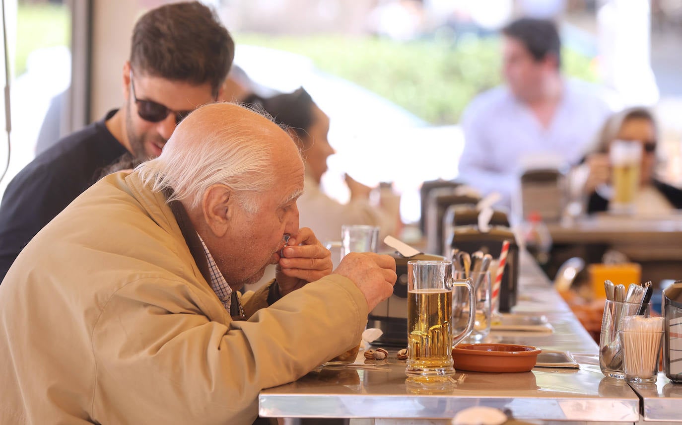 La esperada apertura de los puestos de caracoles en Córdoba, en imágenes