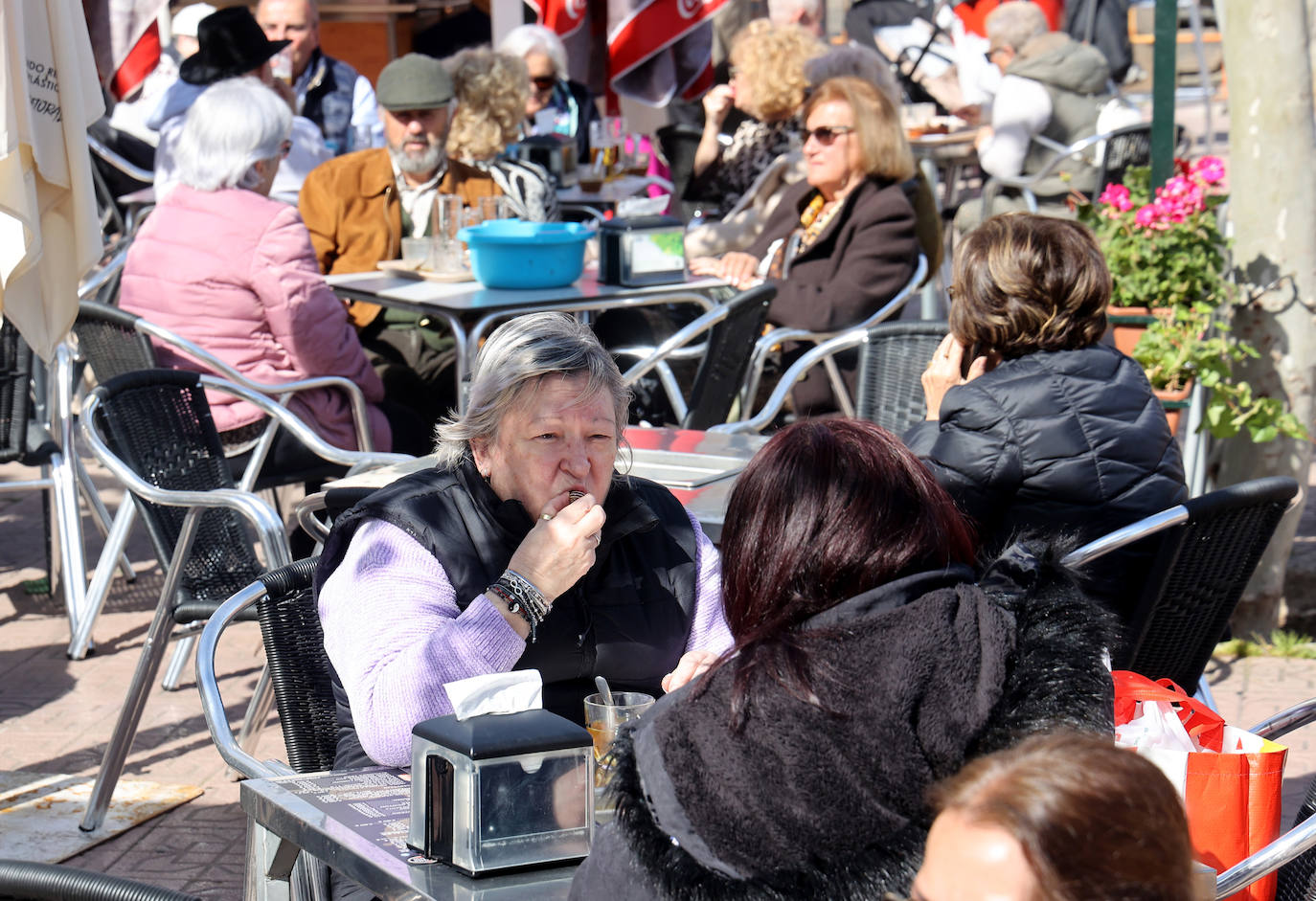 La esperada apertura de los puestos de caracoles en Córdoba, en imágenes