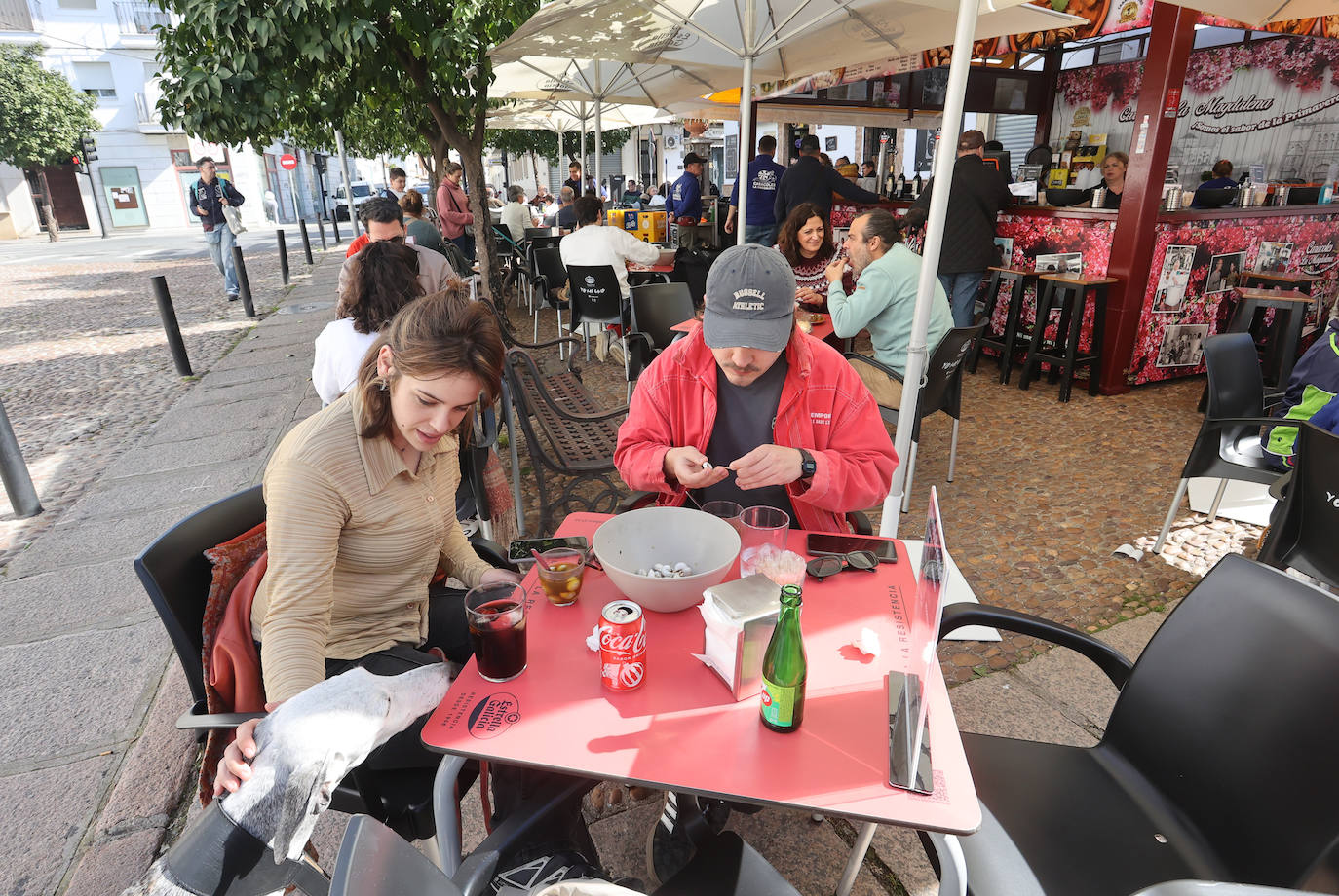 La esperada apertura de los puestos de caracoles en Córdoba, en imágenes