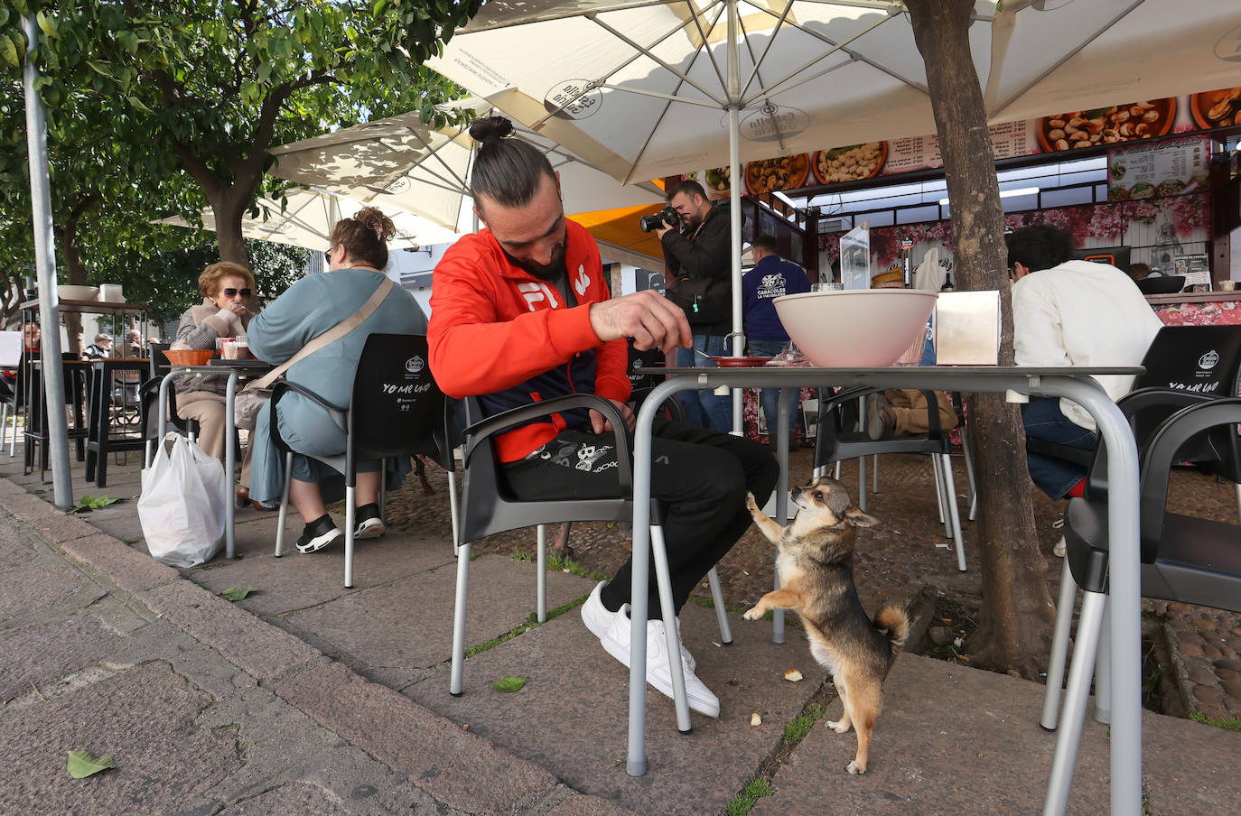 La esperada apertura de los puestos de caracoles en Córdoba, en imágenes
