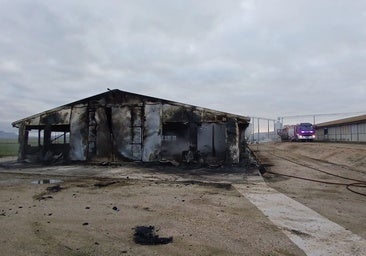 Una nave de producción avícola con 12.000 gallinas en su interior arde «por completo» en Cevico de la Torre (Palencia)