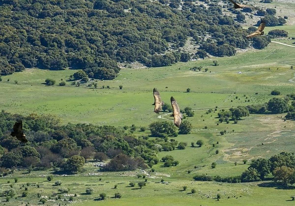 Imagen de la Subbética de Córdoba