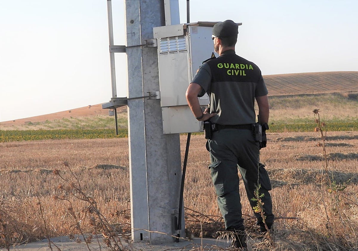 Agente del Seprona, junto a la instalación eléctrica