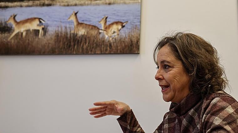 García, en su despacho del Parlamento