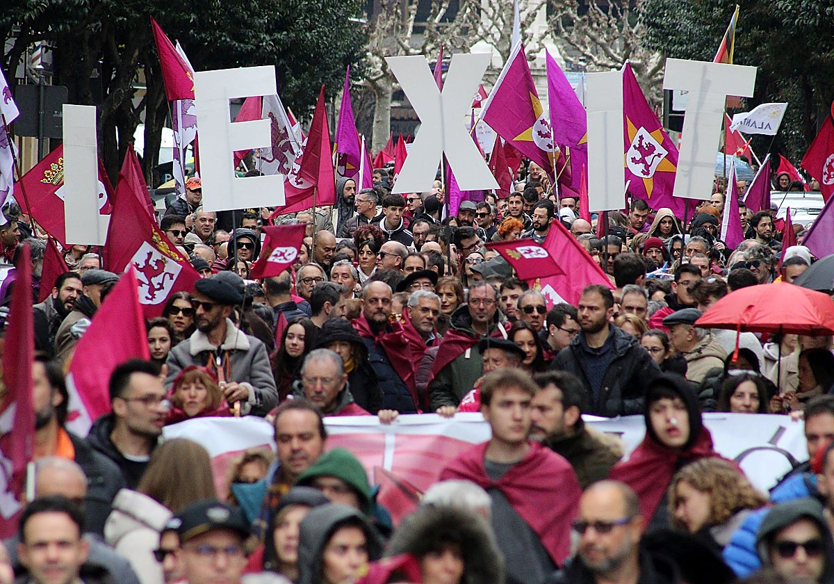 Manifestación este domingo por las calles de León