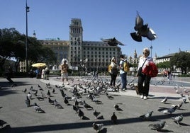 Un menor herido por apuñalamiento tras ser asaltado en la céntrica plaza de Cataluña de Barcelona