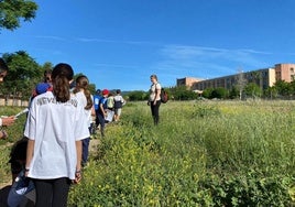 La Universidad de Córdoba busca colegios con descampados para enseñar a los niños el mundo de las plantas