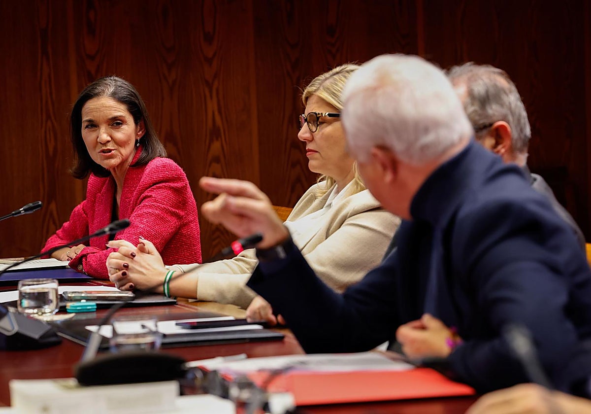 La portavoz del PSOE en el Ayuntamiento de Madrid, Reyes Maroto