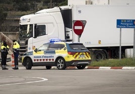 Detenida una familia por cultivar 676 plantas de marihuana y esconder más de 90.000 euros en Cataluña