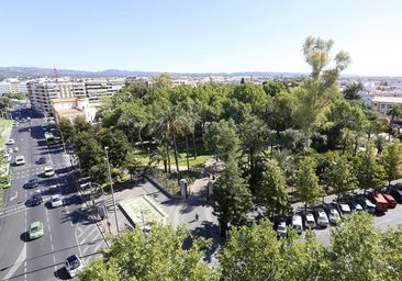 Trivial verde de Córdoba: las calles de la ciudad aglutinan más árboles que los propios parques