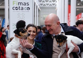 Valladolid permitirá enterrar animales de compañía en Las Contiendas a partir de 2026