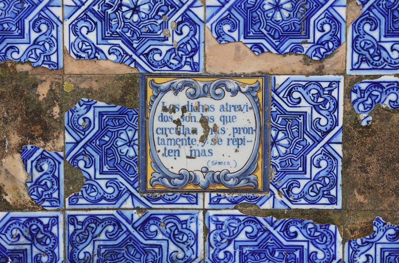 El abandono de los icónicos bancos de los Jardines de Agricultura, en imágenes