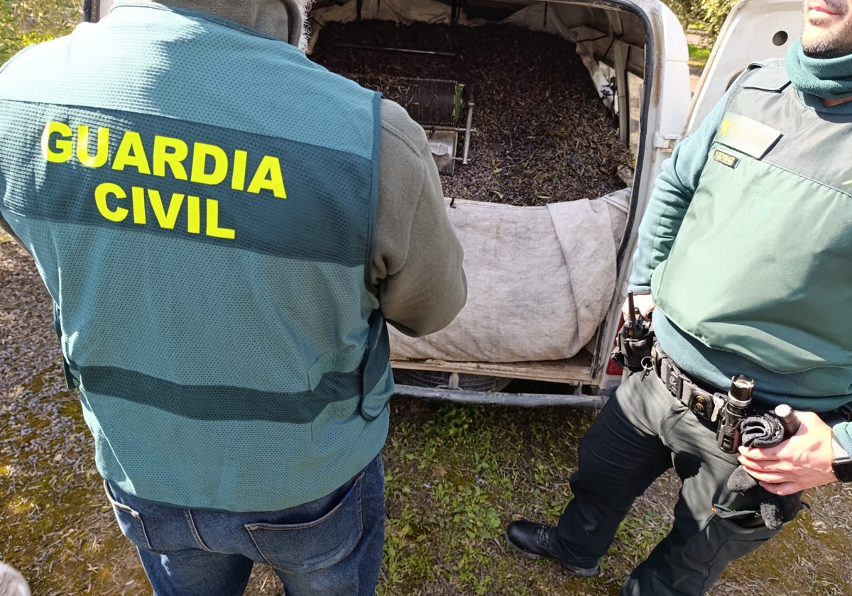 El interior de un vehículo con la aceituna sustraída