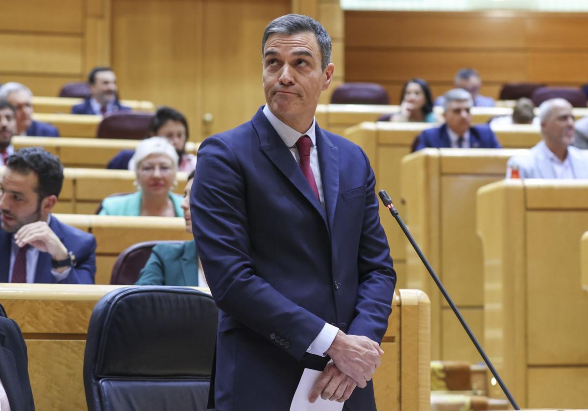 Pedro Sánchez, durante una sesión de control en el Senado