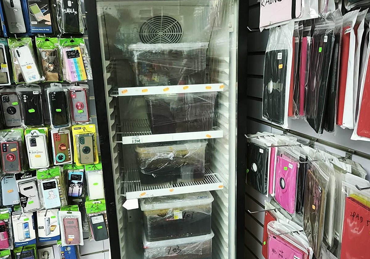 Refrigerador para bebidas con salsas insalubres, en la tienda inspeccionada en Usera