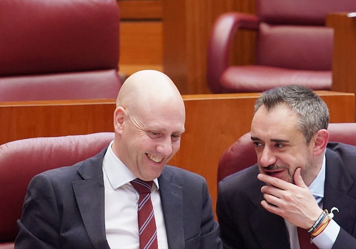 Carlos Menéndez y David Hierro, durante el pleno de ayer en las Cortes