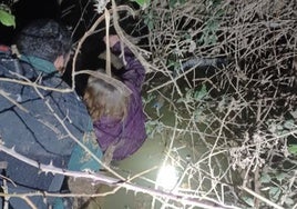 El agónico y heroico rescate de una mujer que llevaba horas en las gélidas aguas del río Pisuerga agarrada a una rama