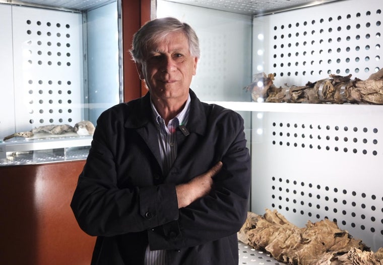 The director of the Museum of Nature and Archeology (MUNA) of Tenerife, Conrado Rodríguez