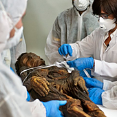 Canarias reclama su momia guanche y rechaza la carta de Urtasun