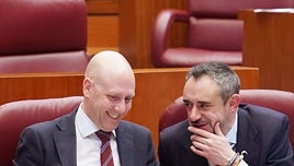 Las Cortes de Castilla y León piden facilitar el desalojo de los «okupas» en 24 horas