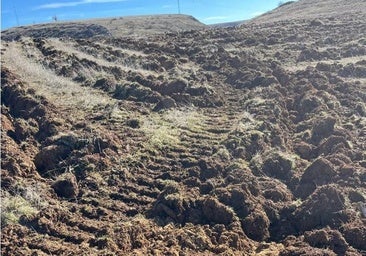 La Junta de Castilla y León promete una intervención «contundente» ante el «destrozo» del campamento romano de las Guerras Cántabras en Palencia