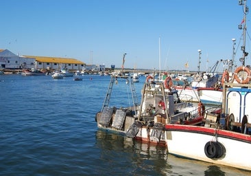 Imagen de archivo del Puerto pesquero de Isla Cristina (Huelva)