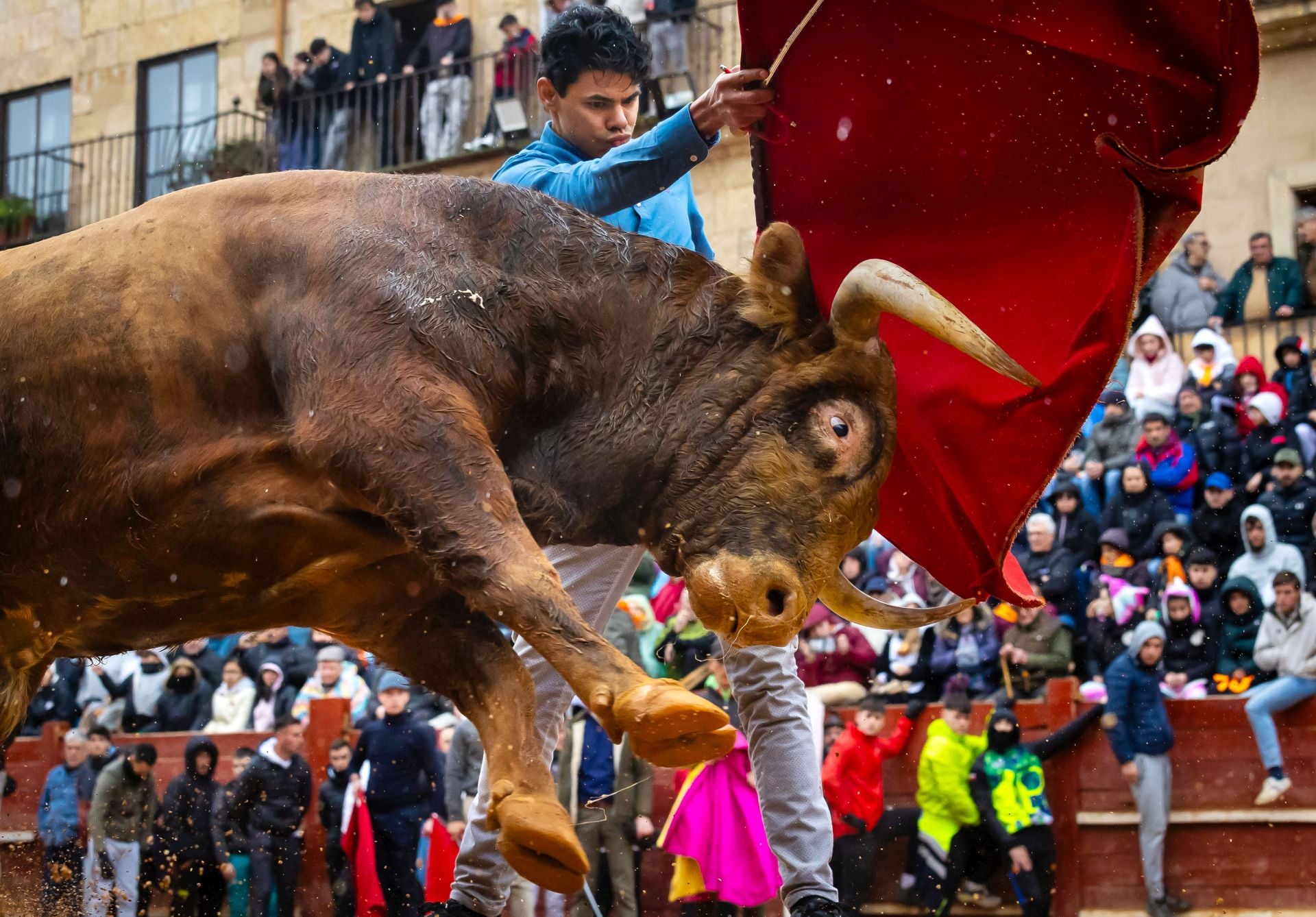 La lluvia empaña y complica el encierro del lunes del Carnaval del Toro de Ciudad Rodrigo