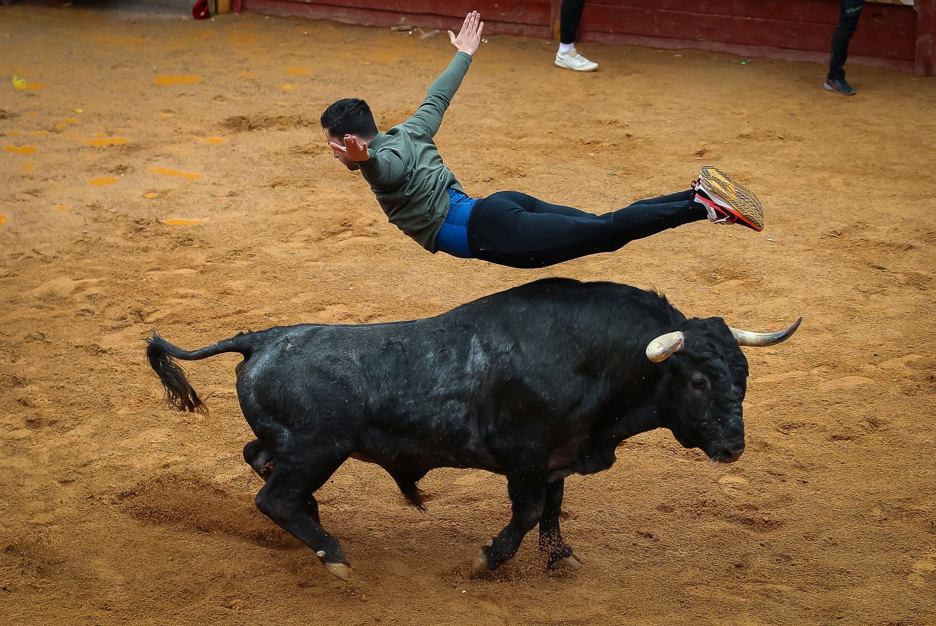 La lluvia empaña y complica el encierro del lunes del Carnaval del Toro de Ciudad Rodrigo