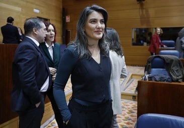 Más Madrid quiere 'reventar' la actividad de la Asamblea con la creación de una veintena de comisiones