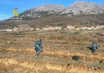 Investigadas dos personas por la destrucción del campamento romano de las guerras cántabras en Palencia