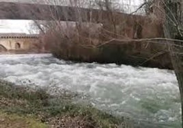 La crecida del río Henares a su paso por Guadalajara obliga a cerrar el acceso al parque fluvial