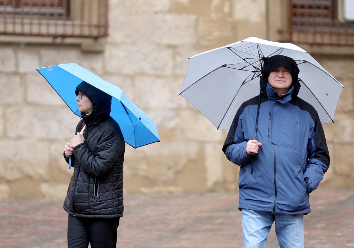 Dos turistas con paraguas en el entorno de la Mezquita de Córdoba el pasado puente del 28F