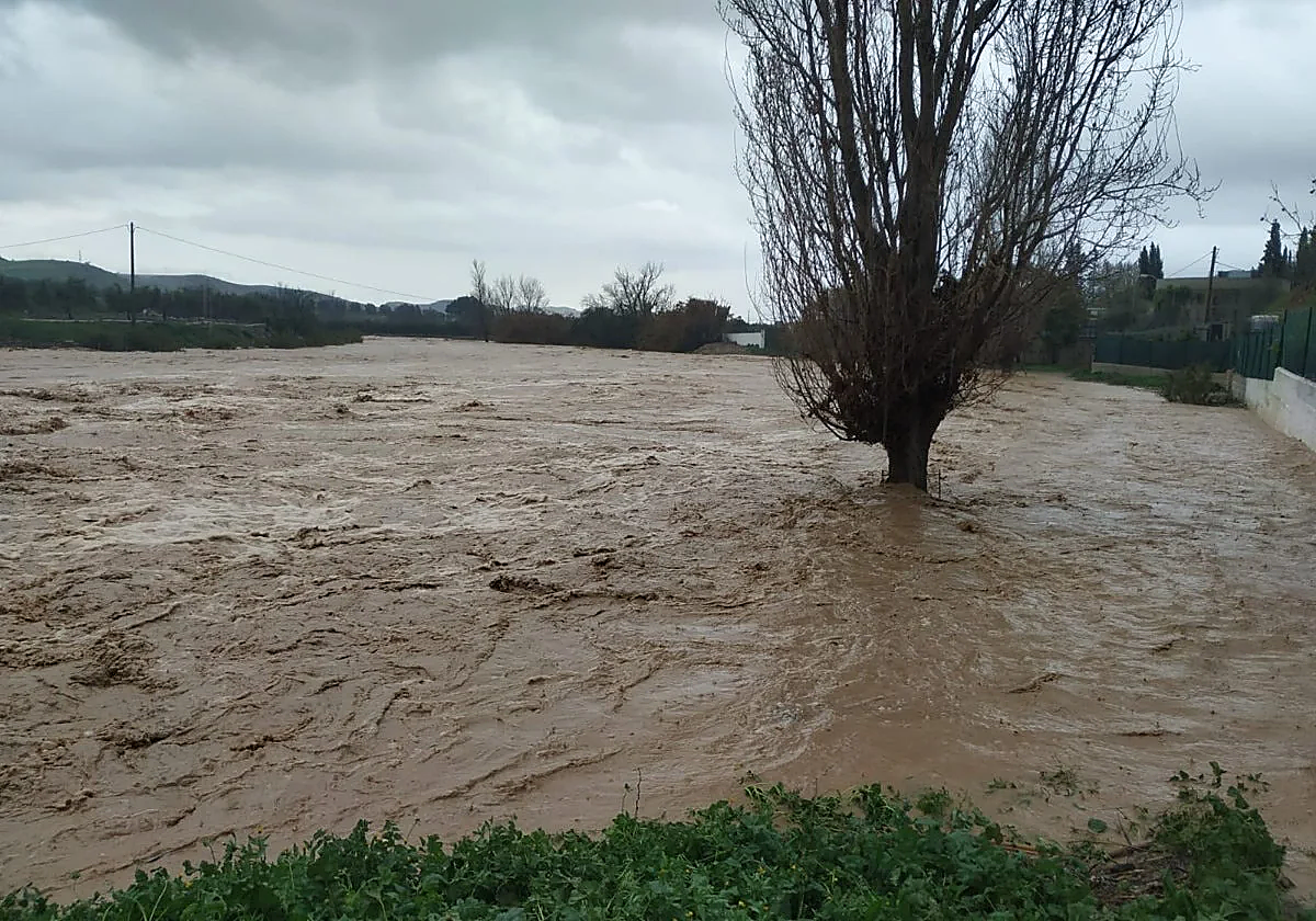 Imagen esta semana del Río Turón (Málaga)